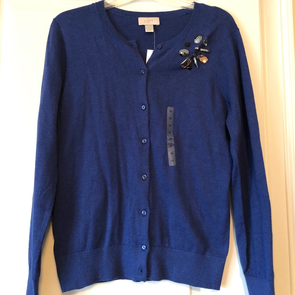 Loft Blue Sweater